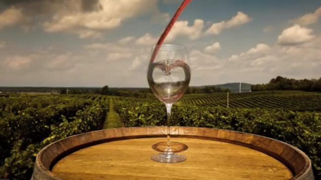 Vinos de Virginia USA