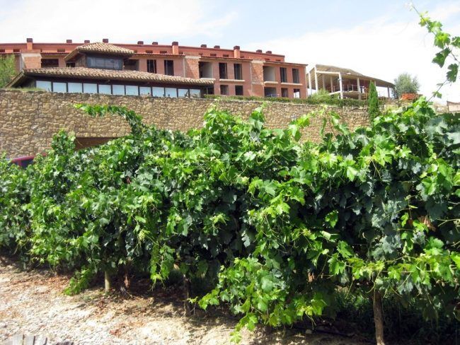 Bodegas Miguel Merino