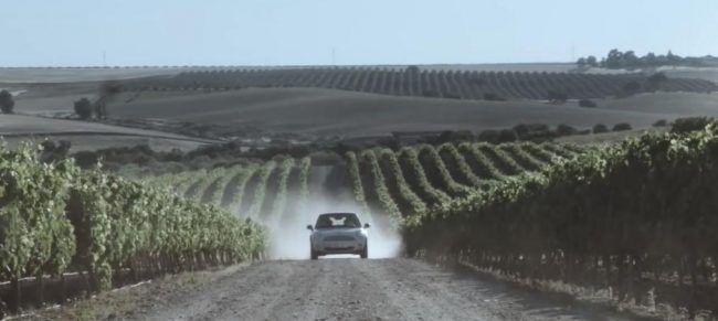 Ruta del Vino de Ribera del Guadiana