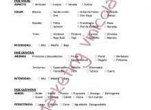 Ficha de Cata de Vinos