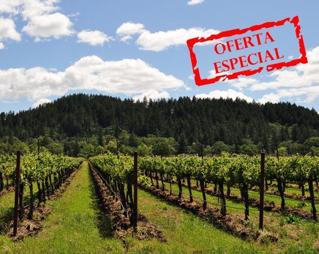 Ofertas de Enoturismo