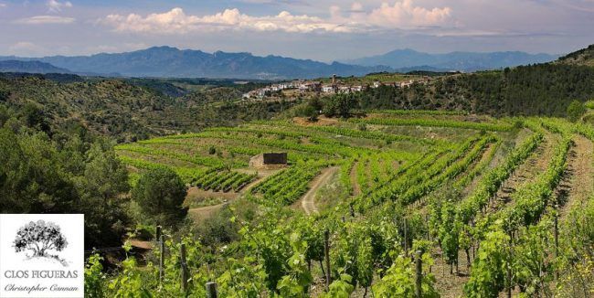 Clos-Figueras-enoturismo-priorat-winerist_Marketing-Vinicola Clos Figueras Priorat