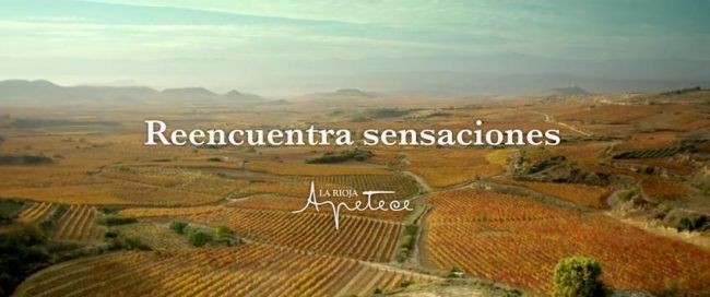 La Rioja Apetece Bodega de Sensaciones