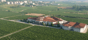 Bodegas Campillo