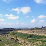 Bodegas Torre de Oña