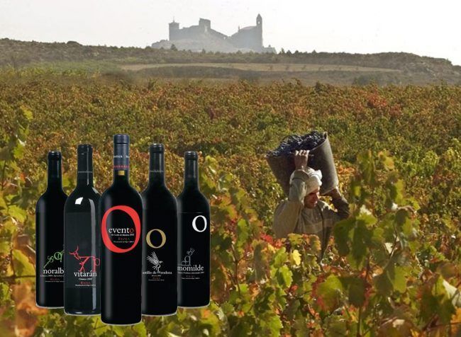 01.Bodega-Castillo-De-Mendoza-Rioja-vinos_Marketing-Vinicola (1) Bodegas Castillo de Mendoza