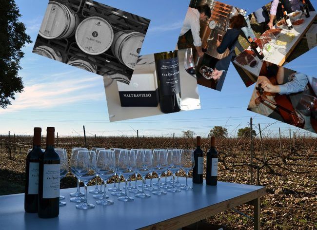 Bodegas Valtravieso Ribera del Duero