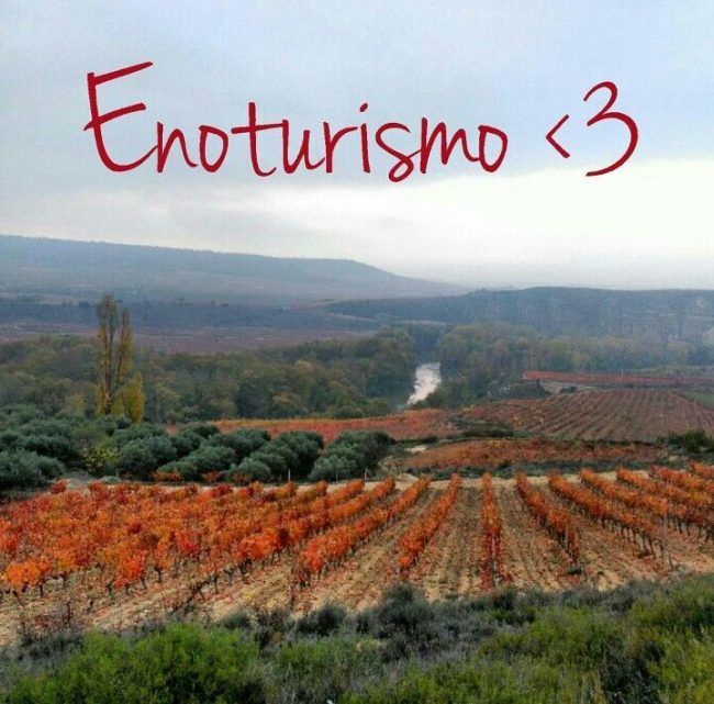 Enoturismo-Otoño-Marketing-Vinicola Enoturismo Marketing Vinícola