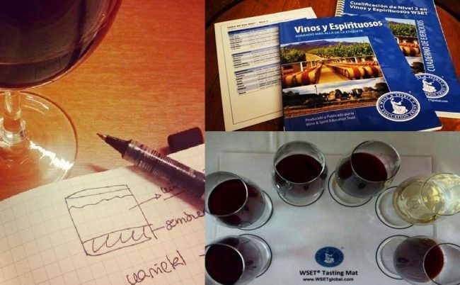 WSET Wine Study