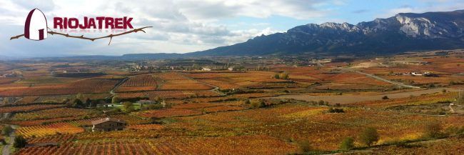 Riojatrek Enoturismo en La Rioja