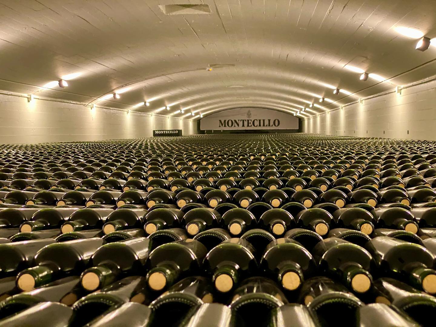 Bodegas Montecillo (1)