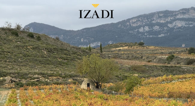 bodegas-izadi-marketing-vinicola-rioja-alavesa (14) (1)_